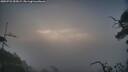 ./images/calvert/fitz-hugh-hecate/20250722/fitz-hugh-hecate20250722_055009M.jpg