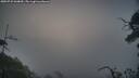 ./images/calvert/fitz-hugh-hecate/20250722/fitz-hugh-hecate20250722_060010M.jpg