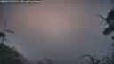 ./images/calvert/fitz-hugh-hecate/20250722/fitz-hugh-hecate20250722_060509M.jpg