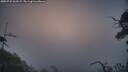 ./images/calvert/fitz-hugh-hecate/20250722/fitz-hugh-hecate20250722_061009M.jpg
