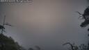 ./images/calvert/fitz-hugh-hecate/20250722/fitz-hugh-hecate20250722_061510M.jpg