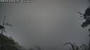 ./images/calvert/fitz-hugh-hecate/20250722/fitz-hugh-hecate20250722_062509M.jpg
