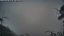 ./images/calvert/fitz-hugh-hecate/20250722/fitz-hugh-hecate20250722_063511M.jpg