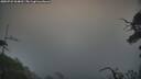 ./images/calvert/fitz-hugh-hecate/20250722/fitz-hugh-hecate20250722_064011M.jpg