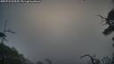 ./images/calvert/fitz-hugh-hecate/20250722/fitz-hugh-hecate20250722_064509M.jpg