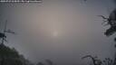 ./images/calvert/fitz-hugh-hecate/20250722/fitz-hugh-hecate20250722_065009M.jpg