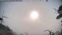 ./images/calvert/fitz-hugh-hecate/20250722/fitz-hugh-hecate20250722_073510M.jpg