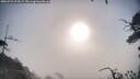 ./images/calvert/fitz-hugh-hecate/20250722/fitz-hugh-hecate20250722_074509M.jpg