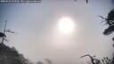 ./images/calvert/fitz-hugh-hecate/20250722/fitz-hugh-hecate20250722_075010M.jpg