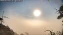 ./images/calvert/fitz-hugh-hecate/20250722/fitz-hugh-hecate20250722_075510M.jpg