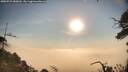 ./images/calvert/fitz-hugh-hecate/20250722/fitz-hugh-hecate20250722_080009M.jpg
