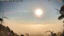 ./images/calvert/fitz-hugh-hecate/20250722/fitz-hugh-hecate20250722_080509M.jpg