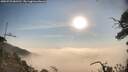 ./images/calvert/fitz-hugh-hecate/20250722/fitz-hugh-hecate20250722_081510M.jpg