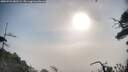 ./images/calvert/fitz-hugh-hecate/20250722/fitz-hugh-hecate20250722_082509M.jpg
