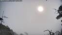 ./images/calvert/fitz-hugh-hecate/20250722/fitz-hugh-hecate20250722_083509M.jpg