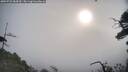./images/calvert/fitz-hugh-hecate/20250722/fitz-hugh-hecate20250722_084510M.jpg
