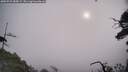 ./images/calvert/fitz-hugh-hecate/20250722/fitz-hugh-hecate20250722_085009M.jpg