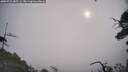 ./images/calvert/fitz-hugh-hecate/20250722/fitz-hugh-hecate20250722_085506M.jpg