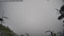 ./images/calvert/fitz-hugh-hecate/20250722/fitz-hugh-hecate20250722_090510M.jpg