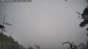 ./images/calvert/fitz-hugh-hecate/20250722/fitz-hugh-hecate20250722_091510M.jpg