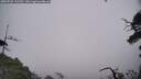 ./images/calvert/fitz-hugh-hecate/20250722/fitz-hugh-hecate20250722_112510M.jpg