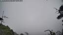 ./images/calvert/fitz-hugh-hecate/20250722/fitz-hugh-hecate20250722_121510M.jpg