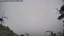 ./images/calvert/fitz-hugh-hecate/20250722/fitz-hugh-hecate20250722_122510M.jpg