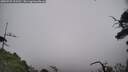 ./images/calvert/fitz-hugh-hecate/20250722/fitz-hugh-hecate20250722_123510M.jpg