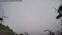 ./images/calvert/fitz-hugh-hecate/20250722/fitz-hugh-hecate20250722_144510M.jpg