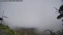 ./images/calvert/fitz-hugh-hecate/20250722/fitz-hugh-hecate20250722_155510M.jpg