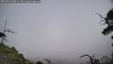 ./images/calvert/fitz-hugh-hecate/20250722/fitz-hugh-hecate20250722_163509M.jpg
