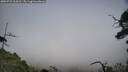 ./images/calvert/fitz-hugh-hecate/20250722/fitz-hugh-hecate20250722_164510M.jpg
