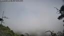 ./images/calvert/fitz-hugh-hecate/20250722/fitz-hugh-hecate20250722_165010M.jpg
