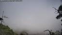 ./images/calvert/fitz-hugh-hecate/20250722/fitz-hugh-hecate20250722_165510M.jpg