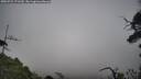 ./images/calvert/fitz-hugh-hecate/20250722/fitz-hugh-hecate20250722_171509M.jpg