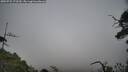 ./images/calvert/fitz-hugh-hecate/20250722/fitz-hugh-hecate20250722_172509M.jpg