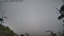 ./images/calvert/fitz-hugh-hecate/20250722/fitz-hugh-hecate20250722_173010M.jpg