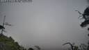 ./images/calvert/fitz-hugh-hecate/20250722/fitz-hugh-hecate20250722_173510M.jpg