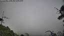 ./images/calvert/fitz-hugh-hecate/20250722/fitz-hugh-hecate20250722_174010M.jpg
