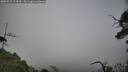 ./images/calvert/fitz-hugh-hecate/20250722/fitz-hugh-hecate20250722_174509M.jpg