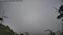 ./images/calvert/fitz-hugh-hecate/20250722/fitz-hugh-hecate20250722_175509M.jpg