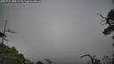./images/calvert/fitz-hugh-hecate/20250722/fitz-hugh-hecate20250722_180509M.jpg