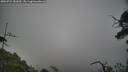 ./images/calvert/fitz-hugh-hecate/20250722/fitz-hugh-hecate20250722_181010M.jpg
