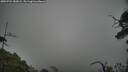 ./images/calvert/fitz-hugh-hecate/20250722/fitz-hugh-hecate20250722_182008M.jpg