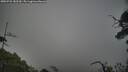 ./images/calvert/fitz-hugh-hecate/20250722/fitz-hugh-hecate20250722_182510M.jpg