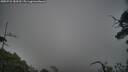 ./images/calvert/fitz-hugh-hecate/20250722/fitz-hugh-hecate20250722_183509M.jpg