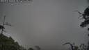 ./images/calvert/fitz-hugh-hecate/20250722/fitz-hugh-hecate20250722_184010M.jpg