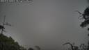 ./images/calvert/fitz-hugh-hecate/20250722/fitz-hugh-hecate20250722_185010M.jpg