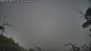 ./images/calvert/fitz-hugh-hecate/20250722/fitz-hugh-hecate20250722_185510M.jpg