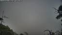 ./images/calvert/fitz-hugh-hecate/20250722/fitz-hugh-hecate20250722_190009M.jpg